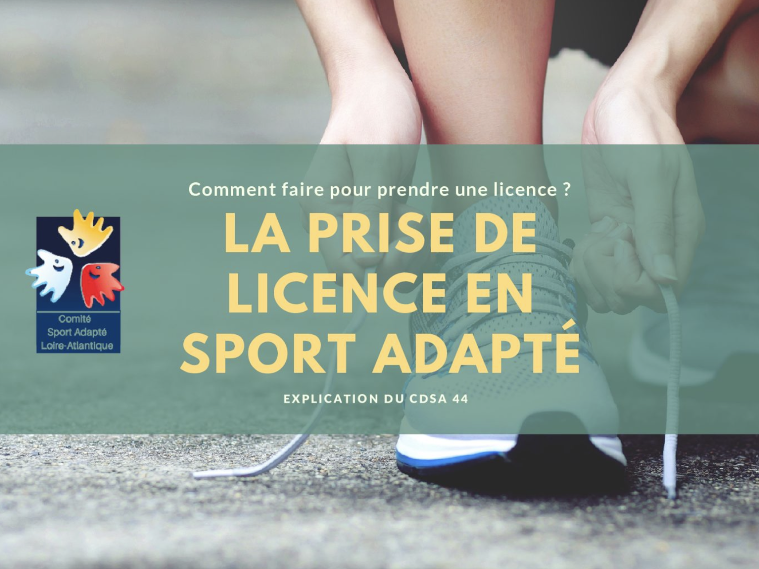 Documents FFSA/Licence cdsa44